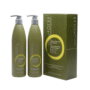 FOCUS HAIR GROWTH SHAMPOO AND CONDITIONER COMBO PROMOTE LONGER FULLER HAIR GROWTH FAST, 13.5 OZ EACH BOTTLE